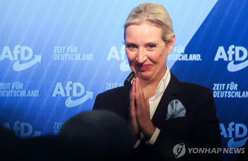 알리스 바이델 AfD 공동대표 (출처=연합뉴스)