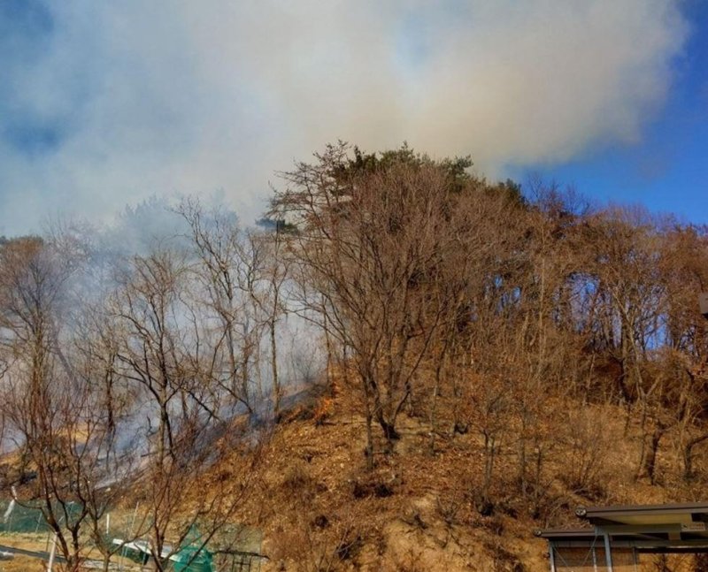 경주 양남면 산불 (출처=연합뉴스)