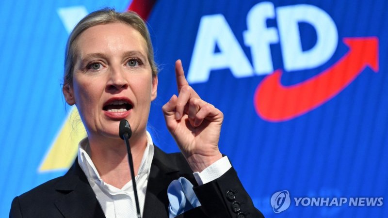 알리스 바이델 AfD 공동대표 (출처=연합뉴스)