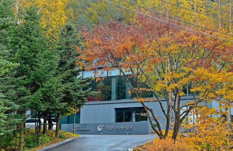국립한국자생식물원 (출처=연합뉴스)
