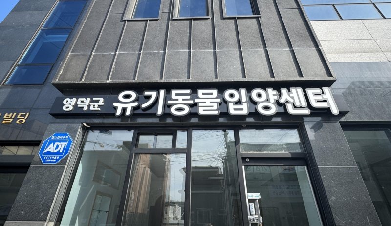 영덕군 유기동물 입양센터 (출처=연합뉴스)