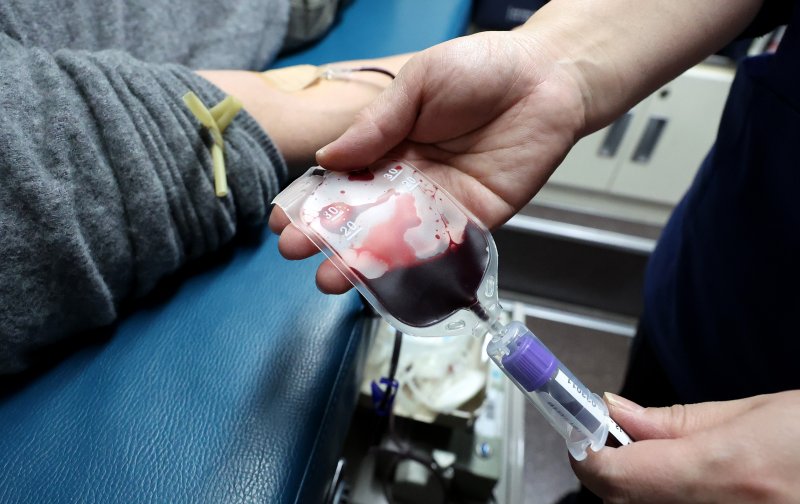 복지부, 헌혈규정 개정 "영국·유럽 장기 체류해도 헌혈 가능"