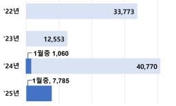 연도별 외화보험 판매 건수 (출처=연합뉴스)