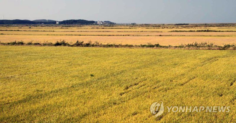 농지 (출처=연합뉴스)