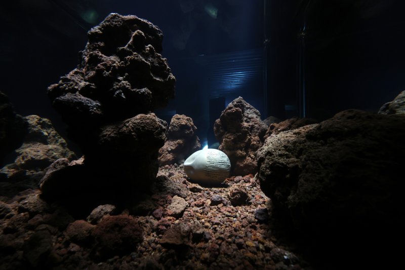 [서울=뉴시스] 박진희 기자 = 리움미술관은 세계적 작가 피에르 위그(Pierre Huyghe)의 아시아 최초 개인전 '리미널(Liminal)'을 25일 개막했다. 2025.02.25. pak7130@newsis.com