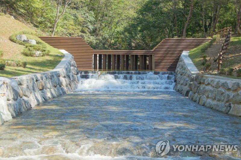 강원 양양 사방댐 (출처=연합뉴스)