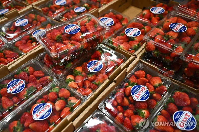 미국 캘리포니아 지역 코스트코에 진열된 멕시코산 딸기 제품 (출처=연합뉴스)