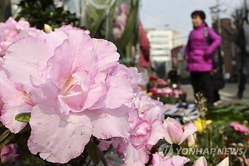 봄이 오는 소리 (출처=연합뉴스)
