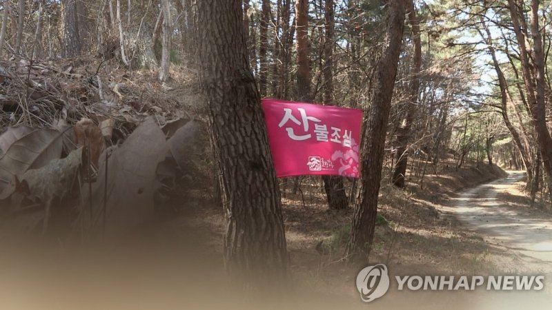 건조한 날씨에 강풍…산불 비상(CG) (출처=연합뉴스)