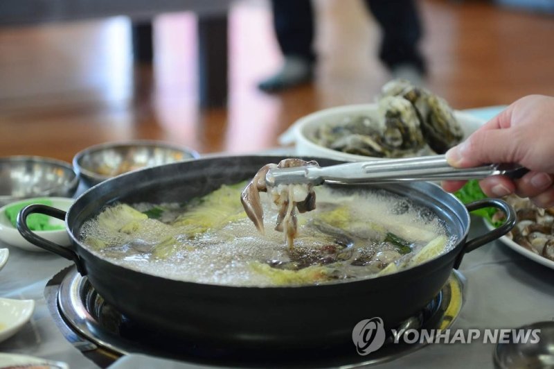 '겨울 별미' 홍성 남당항 새조개 (출처=연합뉴스)
