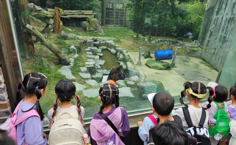 전주동물원 자료사진. 전주시 제공