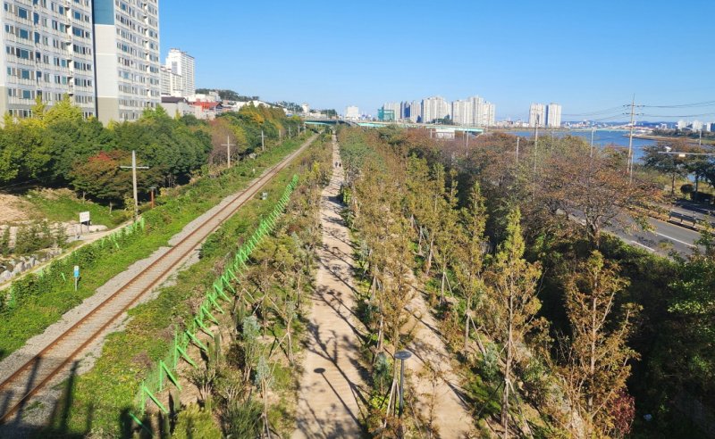 [포항=뉴시스] 송종욱 기자 = 포항시가 정부의 '2050 탄소중립 도시'를 실현하고, 기후 위기 대응을 위해 43개 지구에 총 37㏊의 도시 숲을 확대 조성해 온실가스를 줄이고, 온실가스 배출권 거래로 경제적 효과도 창출하고 있다. 사진은 포항시 연일읍 유강리 포항~경주 관문 숲 조성 모습. (사진=포항시 제공) 2025.02.26. photo@newsis.com