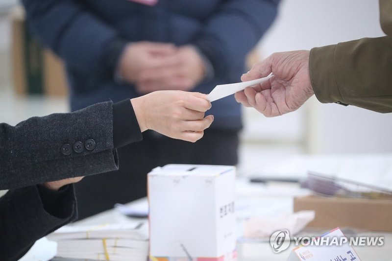 김진하 양양군수 주민소환투표 본투표 (출처=연합뉴스)