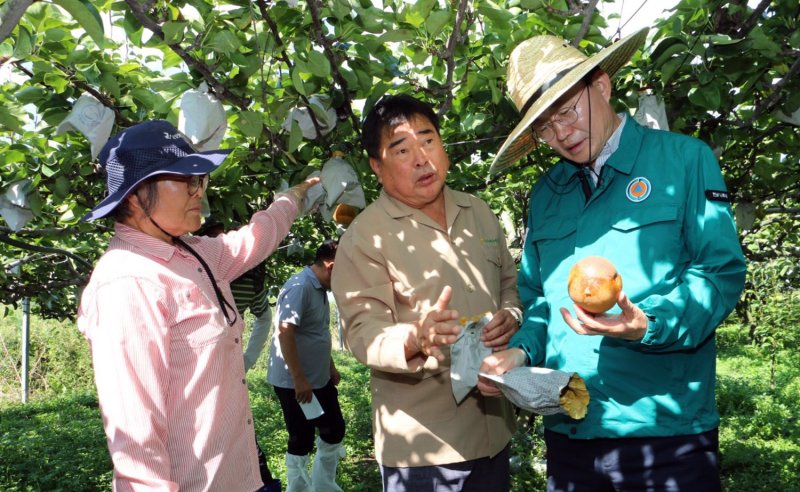 윤병태 시장이 일소 피해(햇볕 데임)를 입은 배과수 농가를 찾아 애로사항을 청취하고 있다. (사진=나주시 제공) photo@newsis.com *재판매 및 DB 금지