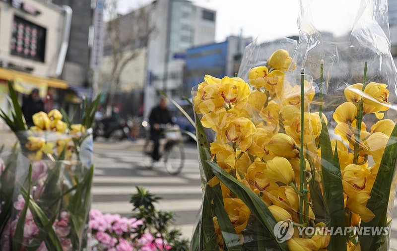 봄이 오는 소리 (출처=연합뉴스)