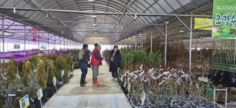 [광주=뉴시스] 산림조합중앙회 광주전남지역본부를 포함한 15개 지역 산림조합이 오는 4월15일까지 '봄철 나무전시·판매장'을 운영한다. 사진은 산림조합 광주전남본부 내 전시판매장. (사진=산림조합 광주전남본부 제공) 2025.02.25. photo@newsis.com