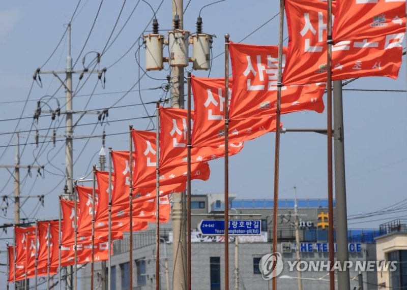 산불 예방 깃발 (출처=연합뉴스)