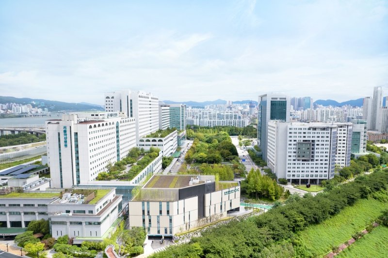 서울아산병원 (출처=연합뉴스)