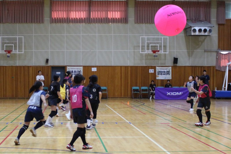 [제주=뉴시스] 양영전 기자 = 제18회 제주도교육감배 전도학교스포츠클럽축전이 열린 7일 오전 제주시 용담삼동 제주대학교사범대학부설고등학교 체육관에서 킨볼 초등학생 경기가 열리고 있다. 2024.09.07. 0jeoni@newsis.com