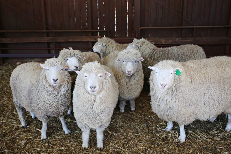 '한국관광 100선' 따라 떠나는 2025 봄마중 힐링여행