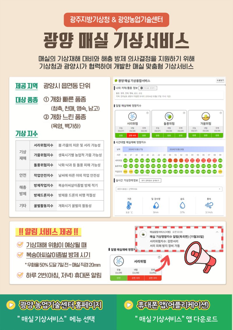 '광양 매실 기상서비스' 홍보 리플렛