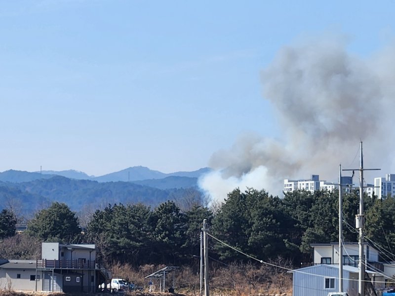 울진 산불 (출처=연합뉴스)