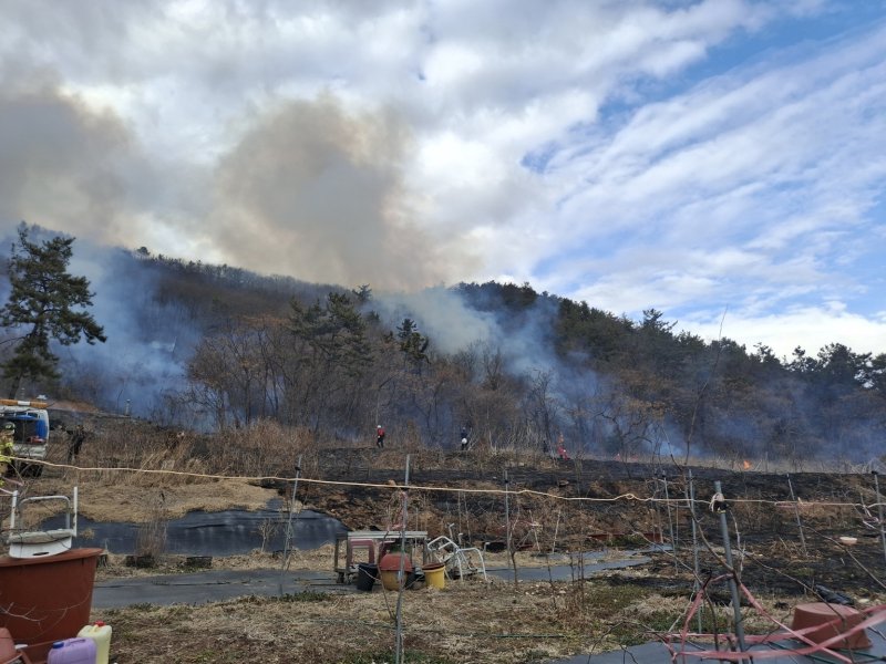 27일 오후 3시 32분쯤 전남 무안군 일로읍의 한 야산에서 불이 나 산림당국이 진화작업을 하고 있다. (산림청 제공. 재판매 및 DB 금지) 2025.2.27/뉴스1