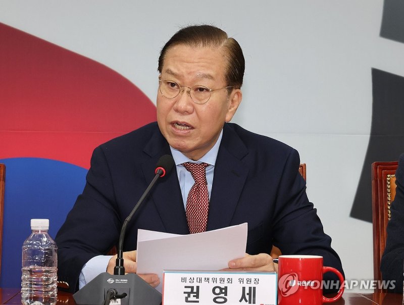 발언하는 권영세 비대위원장 (출처=연합뉴스)