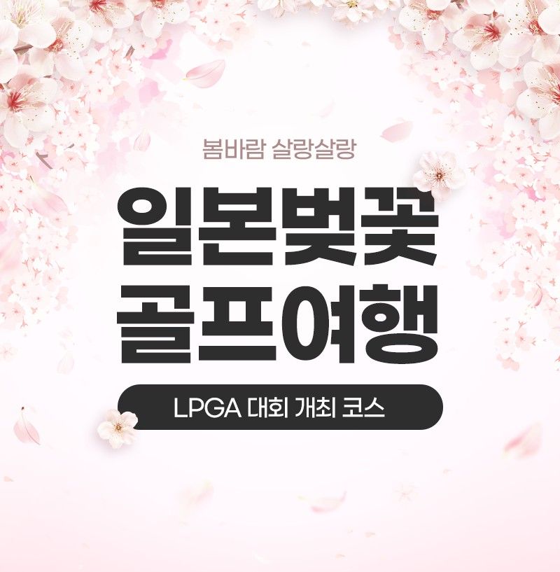 벚꽃 만개 3월의 일본 라운딩은 특별하다... 사츠마 리조트, 가고시마 벚꽃 시즌 관심 폭발