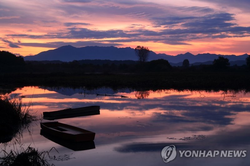 경남 창녕군 우포늪 (출처=연합뉴스)