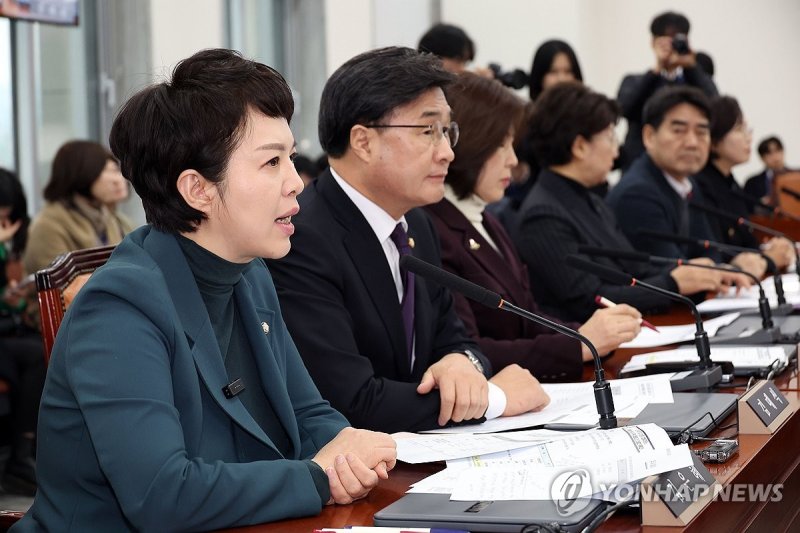 발언하는 여당 간사 국민의힘 김은혜 의원 (출처=연합뉴스)