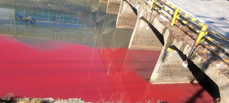 [대구=뉴시스] 24일 오후 2시30분께 대구 서구 염색산업단지 일대 공단천 하수관로에 연붉은빛을 띠는 폐수가 흐르고 있다. (사진=뉴시스 DB) *재판매 및 DB 금지