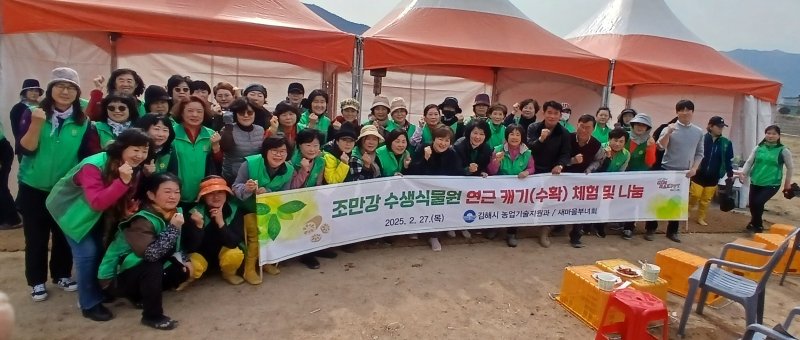 [김해=뉴시스]김해 조만강 연근 수확. (사진=김해시 제공). 2025.2.28. photo@newsis.com