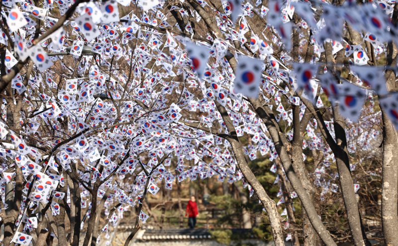 3.1절을 이틀 앞둔 27일 오후 서울 용산구 효창공원에 태극기 거리가 조성돼 있다. 2025.2.27/뉴스1 ⓒ News1 김도우 기자