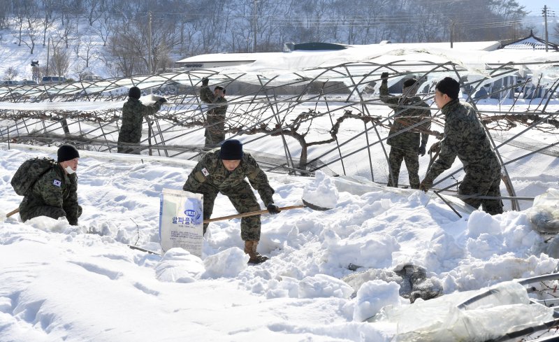 [담양=뉴시스] 변재훈 기자 = 사진은 육군 제11공수특전여단 부대원들이 2022년 12월 27일 전남 담양군 가사문학면 구산리 포도 재배 하우스에서 폭설 피해로 주저 앉은 시설물을 해체하고 있는 모습. 2022.12.27. wisdom21@newsis.com