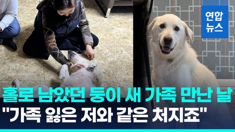 [영상] '제주항공 참사'로 남겨진 반려견 둥이, 새 가족 만난 날 (출처=연합뉴스)