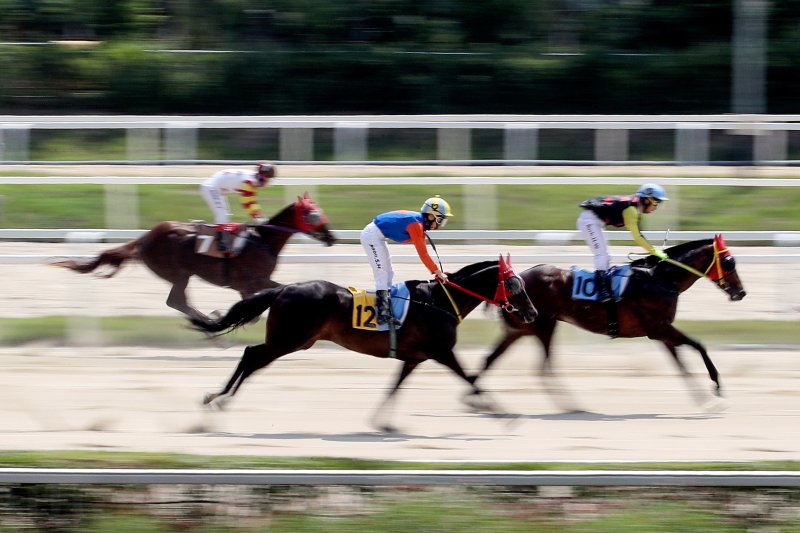 뜨거운 ‘낙인’→AI로 馬 등록...“한국형 말복지”
