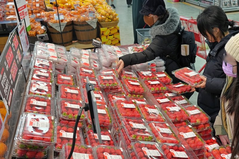 작년 대형마트 3사 매출 1위 과일은 '딸기'…겨울매출 20% 늘어 (출처=연합뉴스)