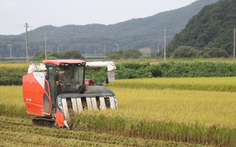 (사진은 기사 내용과 무관함) / 뉴스1 ⓒ News1