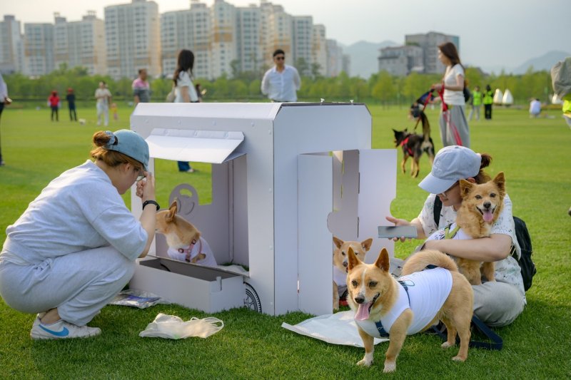 순천시 오천그린광장에서 반려동물 행사에 참여하고 있는 반려인과 반려견.(순천시 제공. 재판매 및 DB 금지)2025.3.3/뉴스1