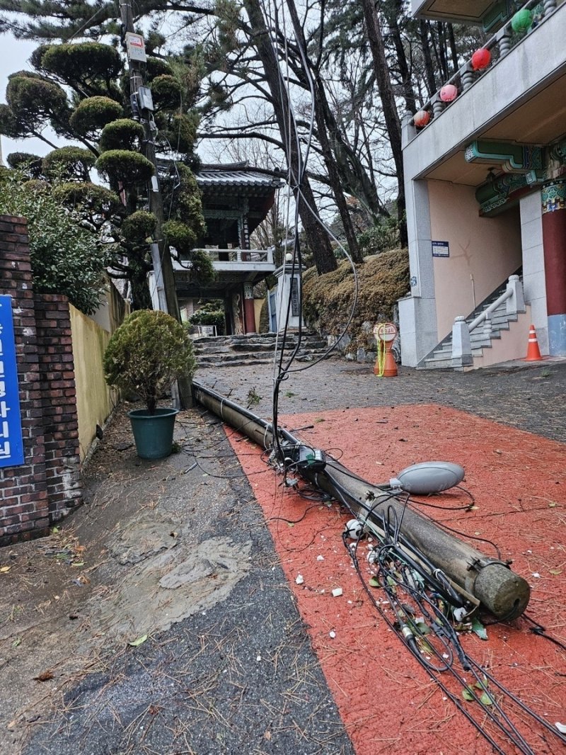 강풍에 넘어진 전봇대 (출처=연합뉴스)