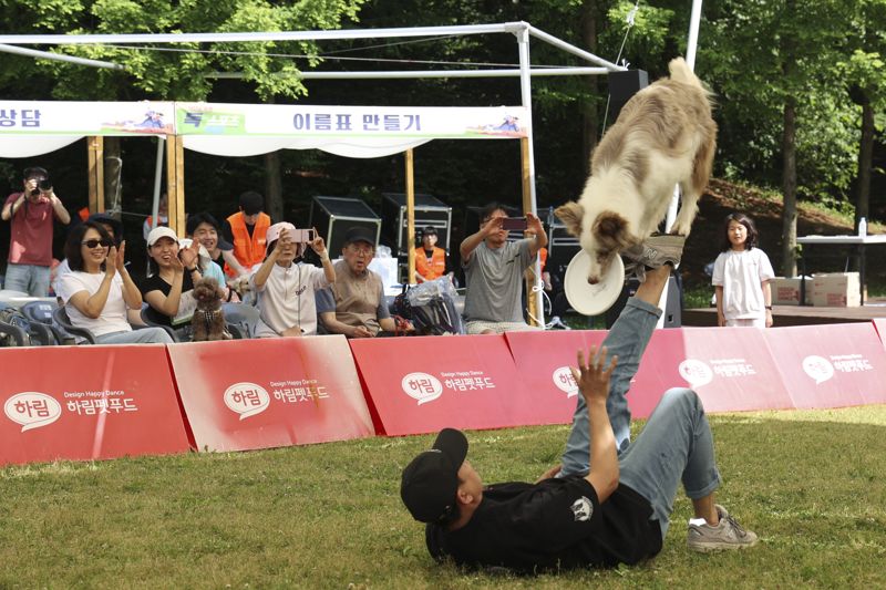 서초구, 사람과 동물이 모두 행복한 친화도시 조성