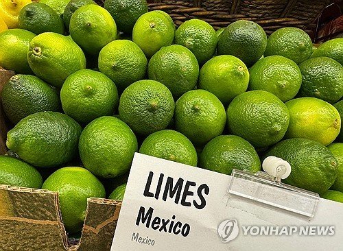 멕시코산 라임 (출처=연합뉴스)