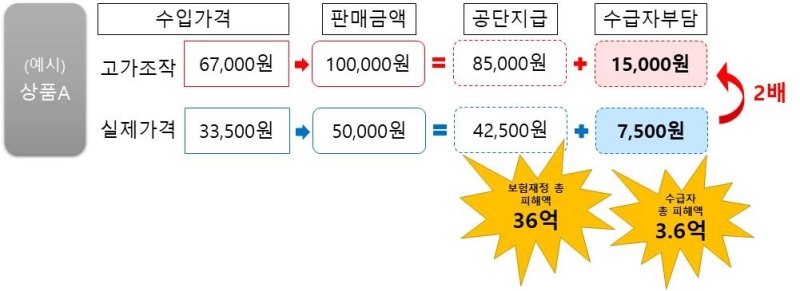 건강보험재정 및 수급자 피해발생 개요도 (출처=연합뉴스)