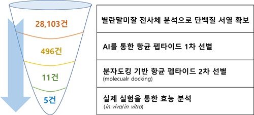 AI 활용해 제주 말미잘서 '슈퍼박테리아' 대응 물질 찾아내 (출처=연합뉴스)