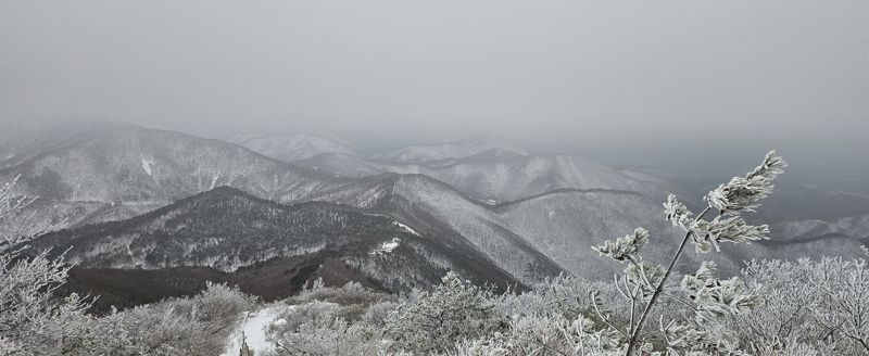 울산 대설주의보 산간 많은 눈.. 도심은 비 내려