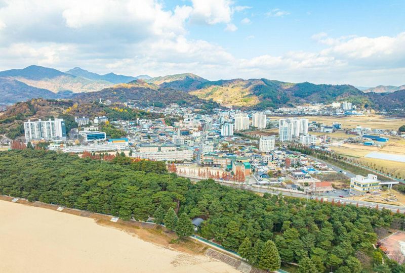 방풍 및 방사 기능을 하는 하동송림. 한국관광공사 제공