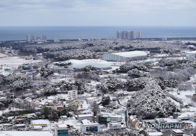 눈 덮인 강릉올림픽파크 (출처=연합뉴스)