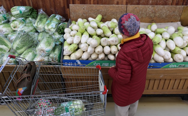 [서울=뉴시스] 이영환 기자 = 서울 서초구 농협하나로마트 양재점에서 한 시민이 무와 배추를 살펴보고 있다. 2025.01.20. 20hwan@newsis.com