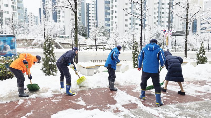 "제설의 달인으로 불러주세요"...강릉시민 폭설에 적극 대처 '화제'